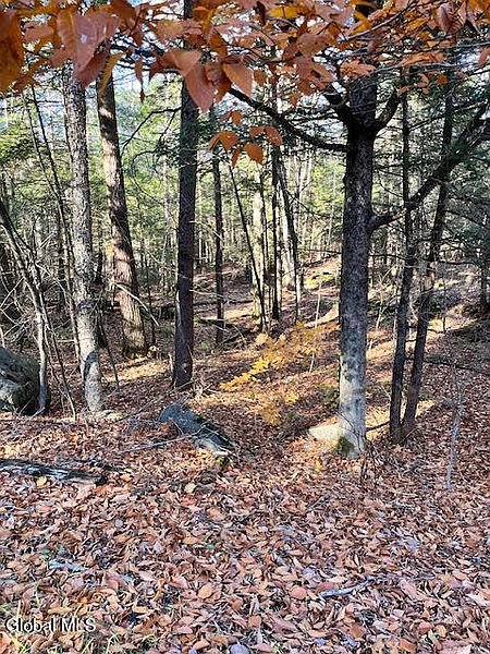 4th image of L5.322 South Trout Lake Road