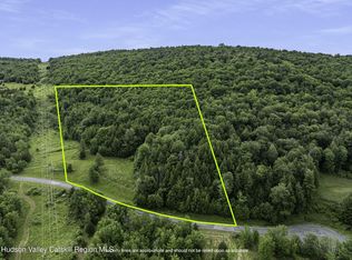 L28.1 Deer Lane, Lexington, NY 12452
