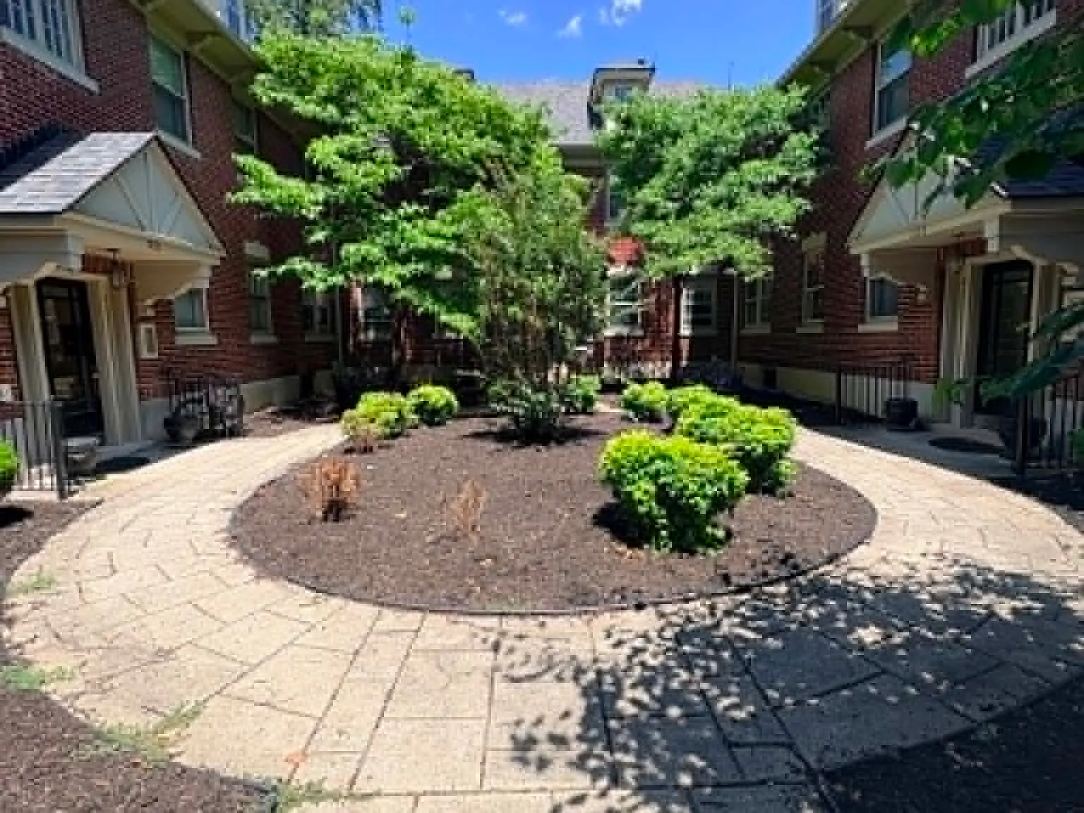 1 bed, 700 sqft, $1,150 — Photo 3