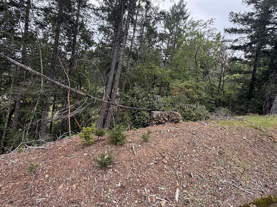 2nd image of 25648 Madrone Drive