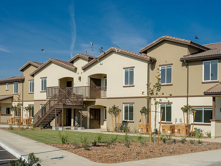 Grapevine Villa — Photo 1