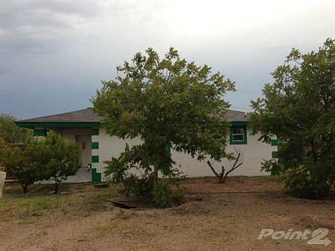 Side view with trees