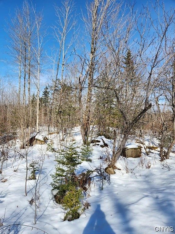 0 Wheelertown Rd 25, Remsen, NY 13438 MLS S1524352 Zillow