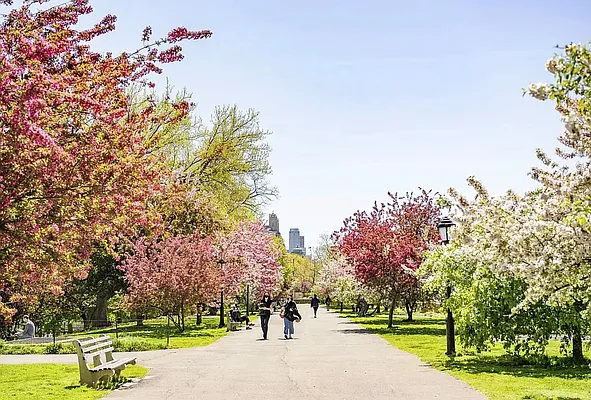 Rented by Rachel Realty | media 49