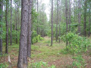 1005 Robinson Town Rd, Cassatt, SC 29032