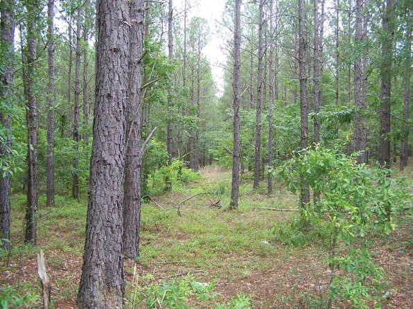 1005 Robinson Town Rd, Cassatt, SC 29032