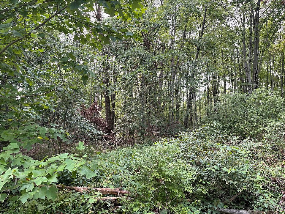 2nd image of 0 Reeds Rd