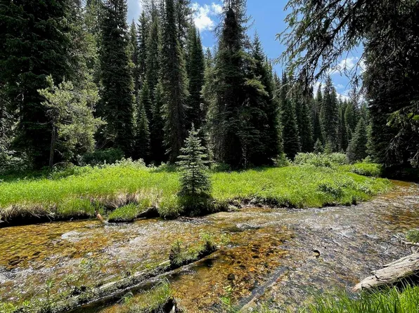 6 Warm Lake Rd, Cascade, ID 83611