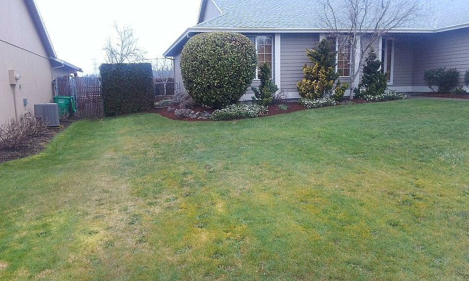 2nd image of 531 SW Mawrcrest Dr
