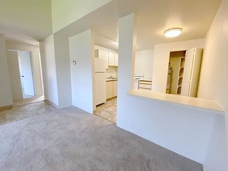 4446 Reka Dr — Photo 17