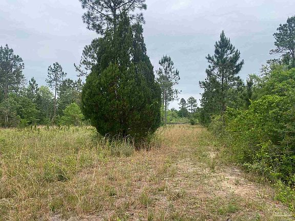 3rd image of 1 Walther Rd