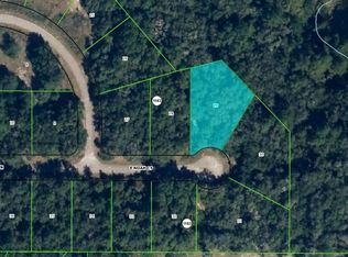 1051 E Noah Ct, Citrus Springs, FL 34434