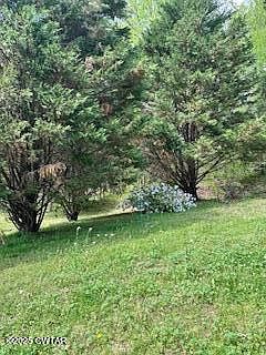 31st image of this home