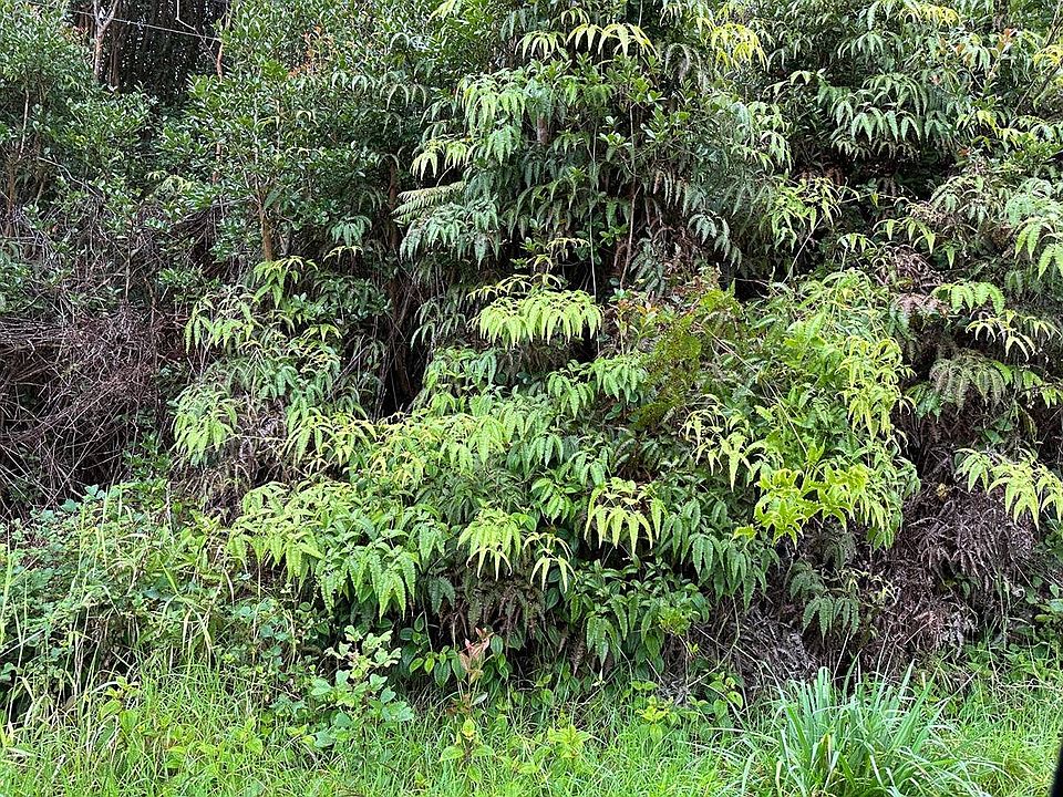 2nd image of Hilohilo St Lot 14