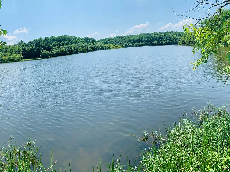 lake Mercer