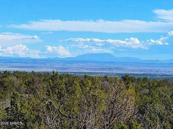 3rd image of TBD Co Rd N7480 40 Acres -- #-