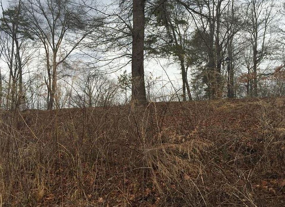 2nd image of 4714 Thunder River Dr