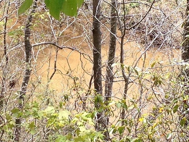 1st image of 155 Roachs Ln
