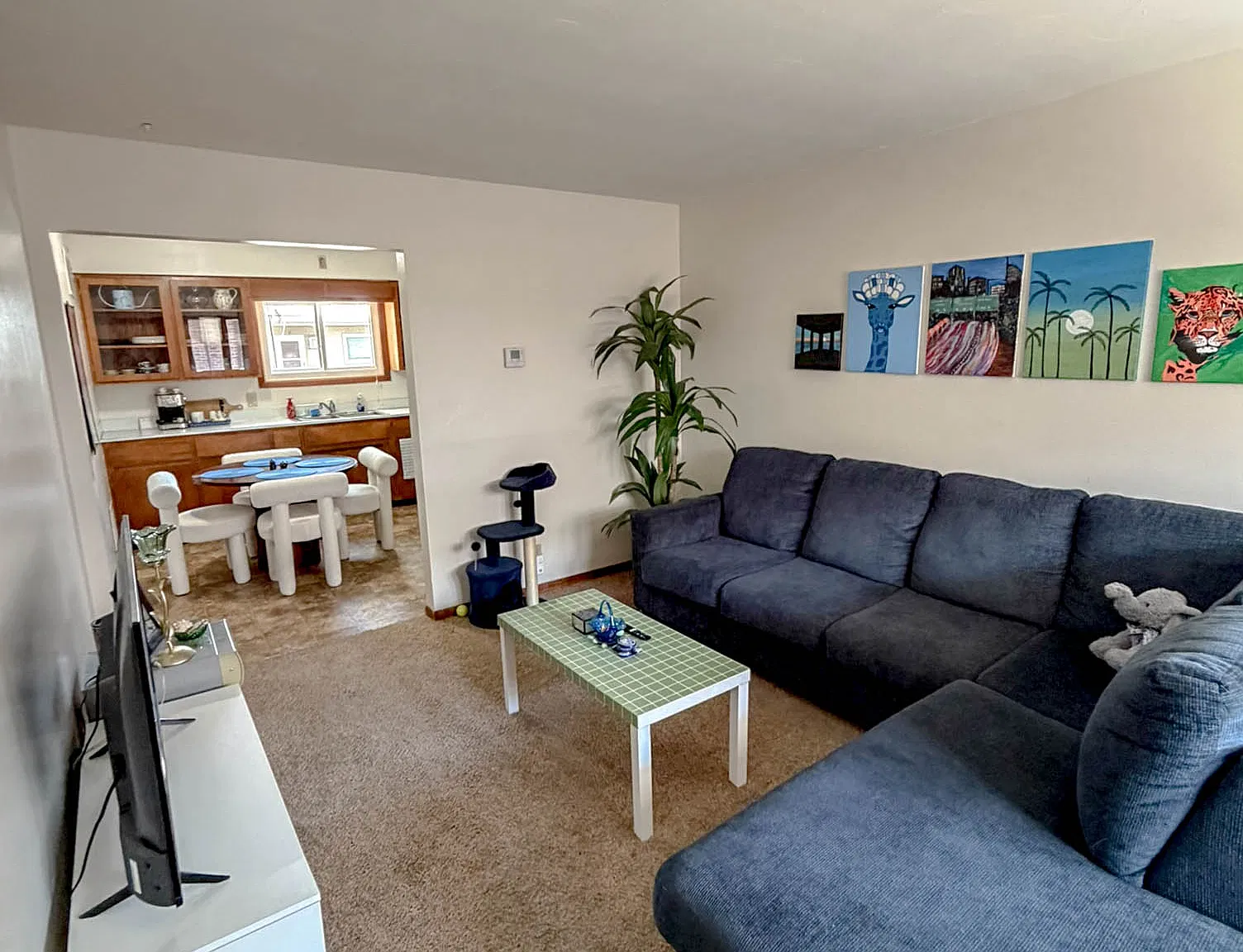 1 bed, 595 sqft, $729 — Photo 2