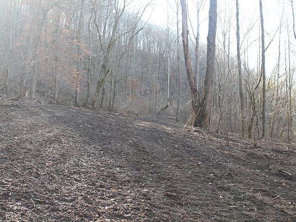 4th image of 0 Williford Ln