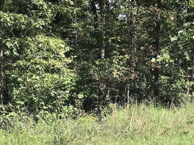 11 Shetland Dr #11-6, Bella Vista, AR, 72715