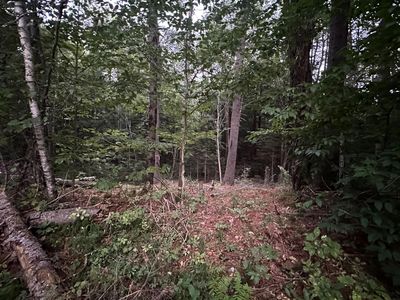 131 Adams Drive, Washington, NH, 03280