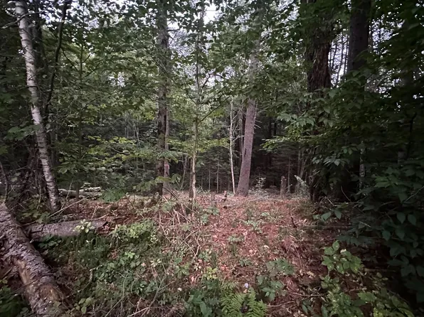 131 Adams Drive, Washington, NH 03280