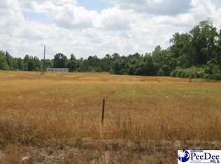 2909 S Pamplico Hwy, Pamplico, SC 29583