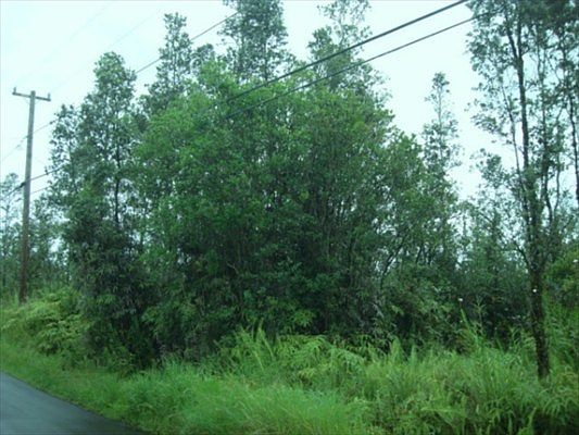 2nd image of Plumeria St Lot 6235