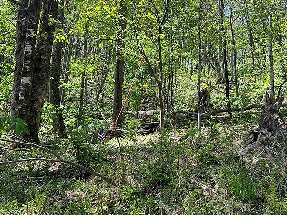 2nd image of Lot# 34 Buckeye Creek Road
