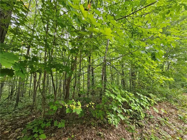 Lots 30-34 Lake Ave, Hayward, WI 54843