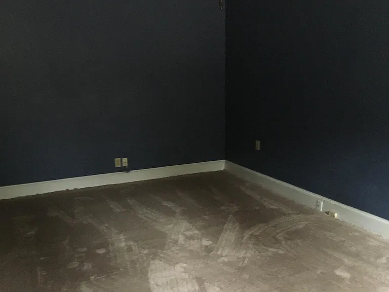 219 Water Oak Dr — Photo 15