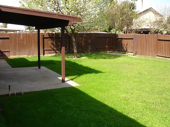 Large Back Yard