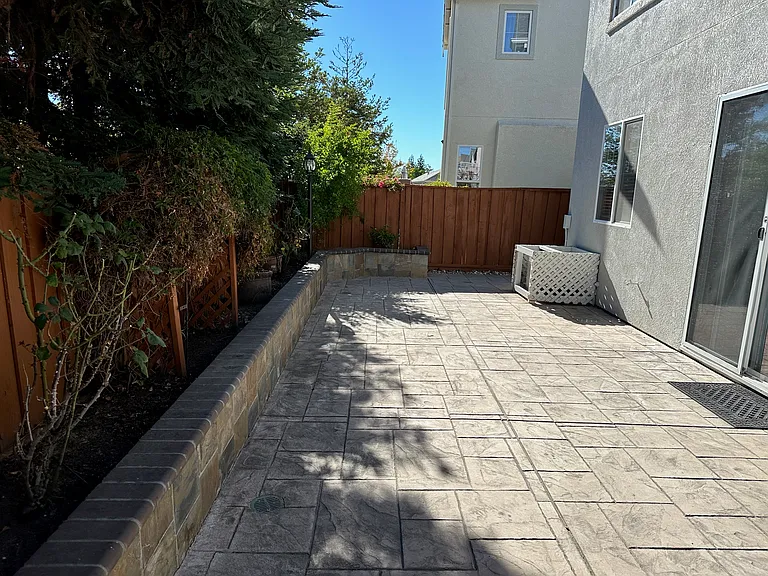Backyard2