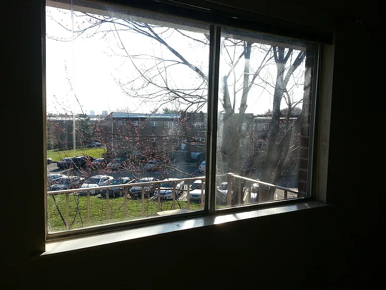 College Dr — Photo 7