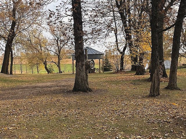 Back yard. Grain Bin Firepit