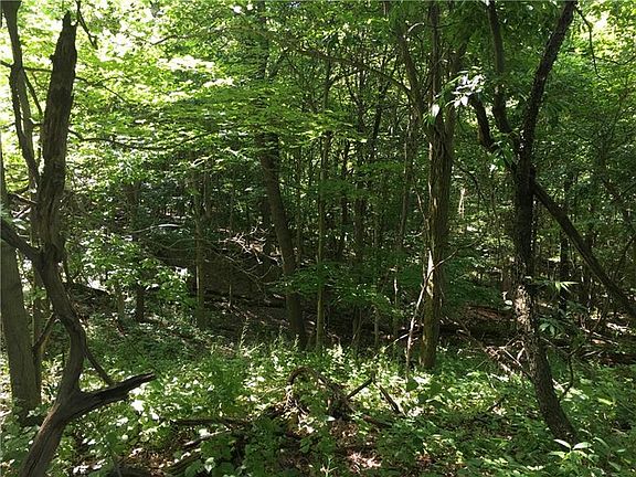 2nd image of 0 New Hampshire Dr