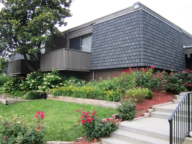 Meadowlark Hill — Photo 9