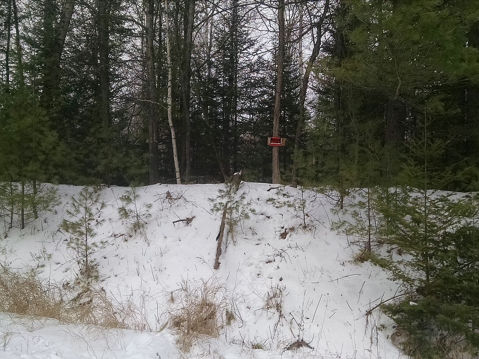2nd image of Buffalo Trail