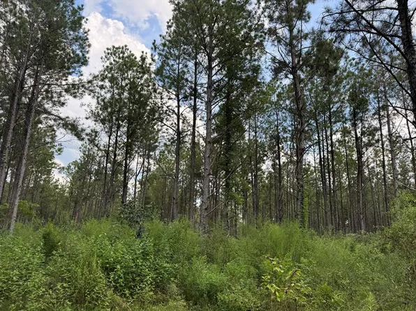 0 Graves Rd, Liberty, MS 39645