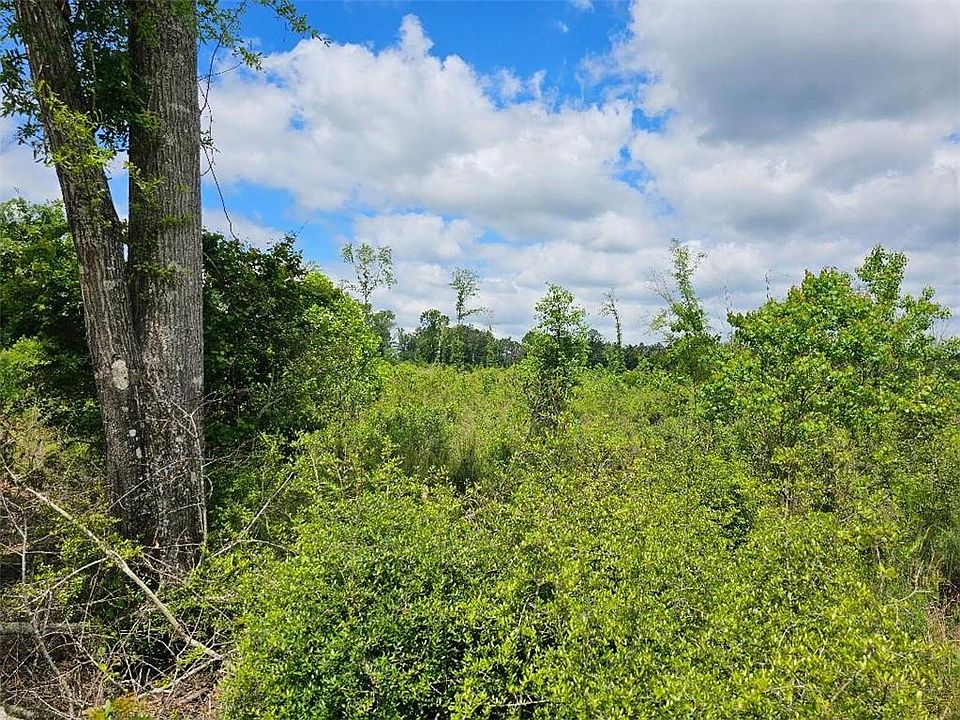 2nd image of Cypress Branch Rd