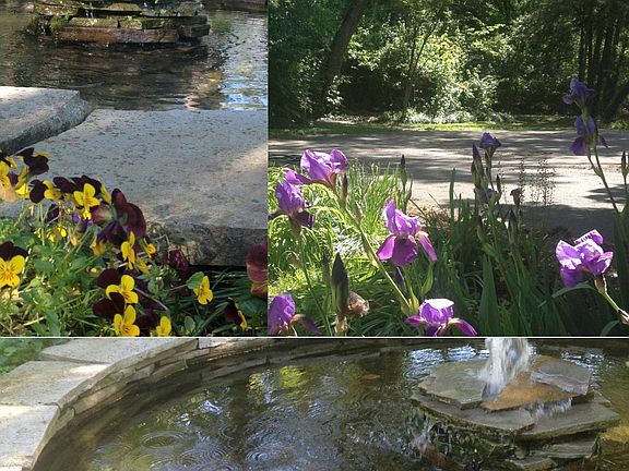 Fish pond with fountain