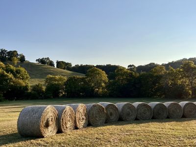 0 Us Highway 31 Lot 2, Culleoka, TN, 38451