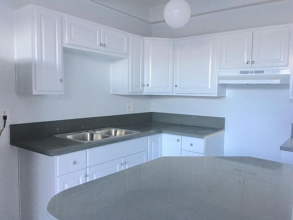 What a wonderful sleek yet cozy kitchen to blend a smoothie in the morning!