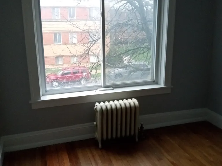 Baxterly — Photo 20