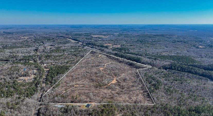 0 Sylvan Loop Rd, Fosters, AL 35463 | MLS #161087 | Zillow