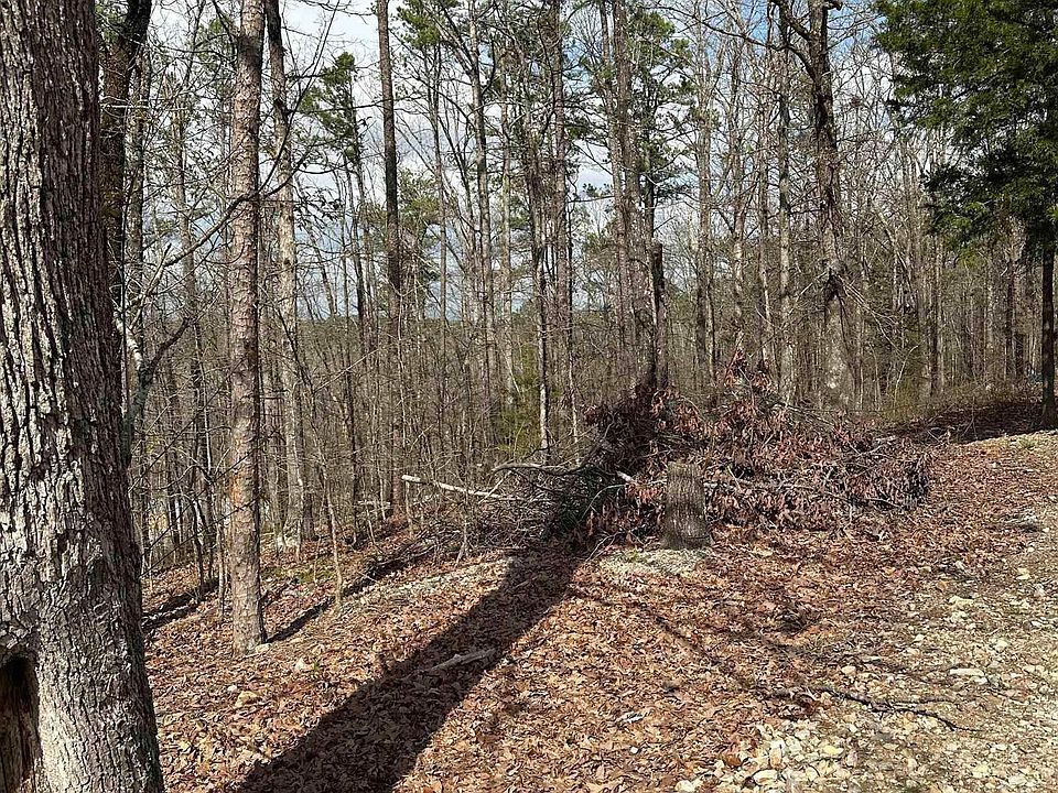 2nd image of 255 Gilmer Ln