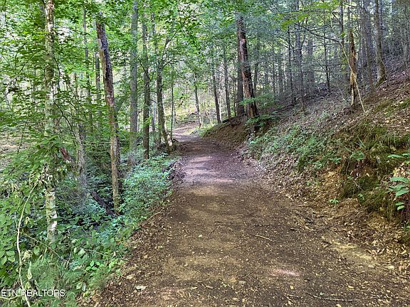 4th image of Bogard Rd