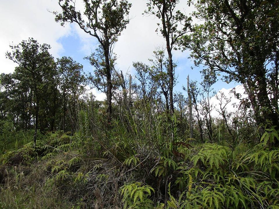 2nd image of Lot 75