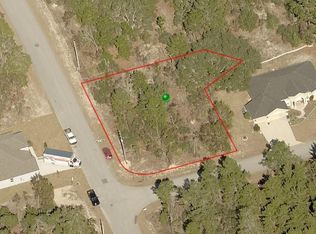 1 Pepper Ct, Homosassa, FL 34446